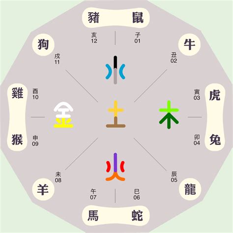 五行代表動物|动物五行属什么 (十二生肖五行对照表图)